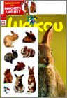 Magazine avec les 9 magnets