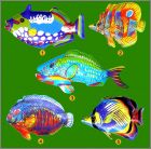 Prsentation de la collection