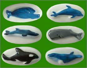 Baleines - 6 Fves brillantes - B.E.G.- 1997