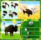 Exemple de BPZ Verso