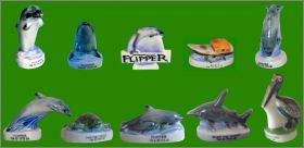 Flipper le dauphin - 10  Fves Brillantes - Alcara - 1999