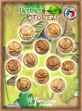 Herbier de Nos For�ts 12 F�ves (effet patin�) Clamecy 2017