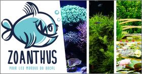 Zoanthus Pour les mordus du bocal - 53 Magnets - 2016 � 2026