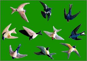 Hirondelles porte-bonheur - 10 F�ves Brillantes - Prime 2011