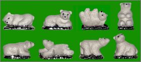 L'ours blanc mat - 8 F�ves blanches et argent�es Alcara 2026