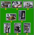 Pr�sentation de la collection