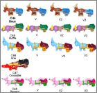 Pr�sentation de la collection