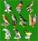 Prsentation de la collection