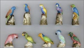 Les Perroquets du Monde - 10 Fves Brillantes - 2011
