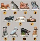 Prsentation de la collection