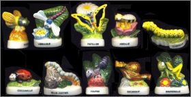 Colonie des champs - Fves Brillantes 2003