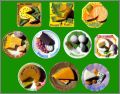 Assiette de fromages - 10 F�ves mates - Nordia - 2004