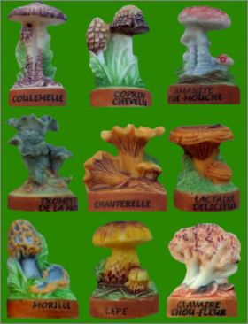 Connatre les champignons - 9 Fves mates - 2010