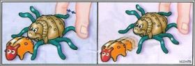 Araigne et coccinelle - Kinder Surprise - K02-75