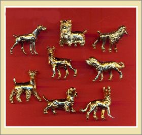 Les chiens de races - Fves dores - 1998